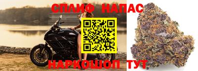 гашиш Камышлов