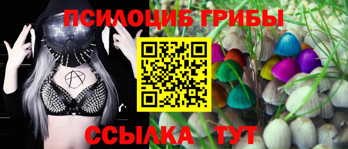 Псилоцибиновые грибы ЛСД Красноуфимск